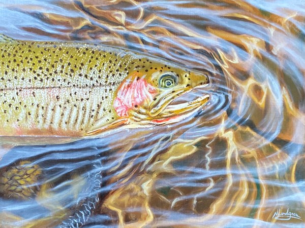 January at Gallery 55